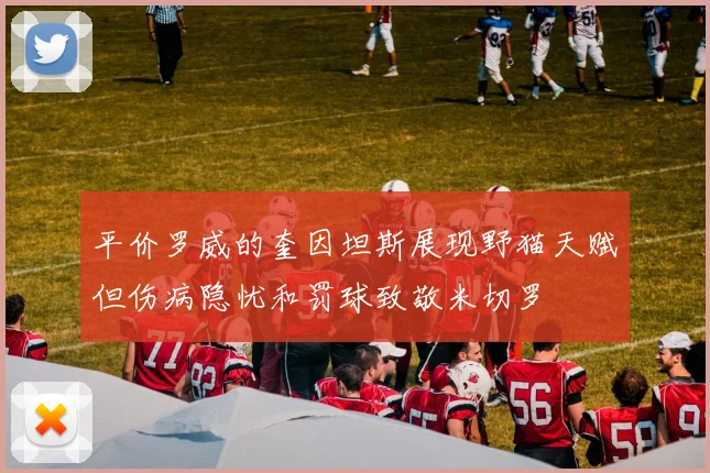 平价罗威的奎因坦斯展现野猫天赋但伤病隐忧和罚球致敬米切罗