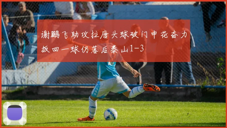 谢鹏飞助攻拉唐头球破门申花奋力扳回一球仍落后泰山1-3